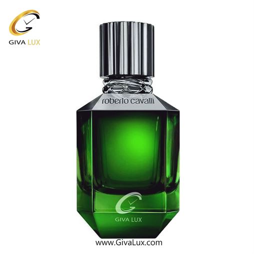   Roberto Cavalli Paradise Found For Men-1.jpg